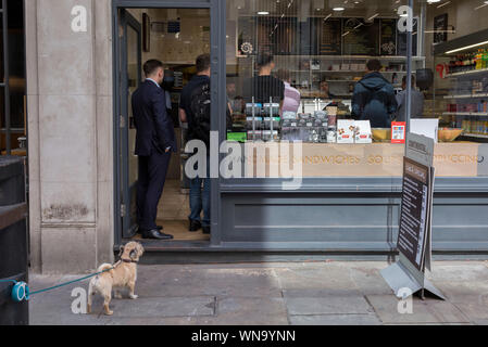 Un cane è legato e attende il suo proprietario che è dentro un sandwich business durante la pausa pranzo su rush Watling Street, il romano ex strada transitabile, nella City di Londra, (aka Square Mile) la capitale del distretto finanziario, il 3 settembre 2019, a Londra, in Inghilterra. Foto Stock