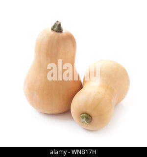 La Zucca isolato su bianco Foto Stock
