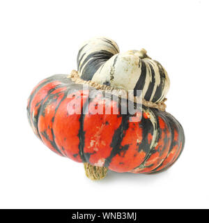 Turbante Squash isolato su bianco Foto Stock