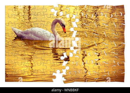 Prendersi cura della tua bellezza - White Swan in sfondo dorato - Concetto di immagine in puzzle forma Foto Stock