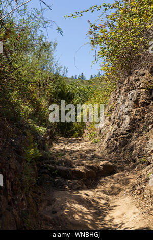Percorso a piedi su un percorso attraverso il Teno masif Erjos vicino a Tenerife, Isole Canarie, Spagna Foto Stock