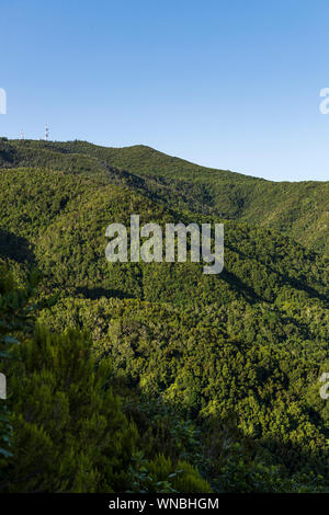 Vista dal Monte del Agua oltre il Teno masif vicino Erjos, Tenerife, Isole Canarie, Spagna Foto Stock