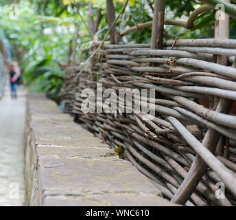 Recinzione di vimini in una decorativa serra aranciera tropicale Foto Stock