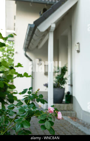 Una casa con tetto spiovente e 2 gables ha un entrata coperta. In primo piano le rose sono la fioritura. Foto Stock