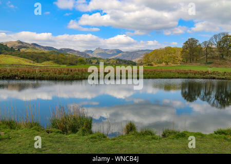 Splendida vista del mountainsm a Langdale Pikes, oltre Elter acqua, vicino a Ambleside, Cumbria, Regno Unito Foto Stock