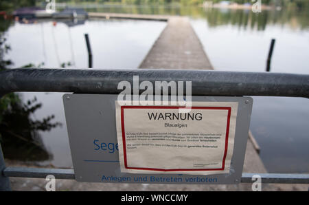 Stuttgart, Germania. 06 Sep, 2019. C'è un avvertimento su alghe blu-verde al Lago Max-Eyth. (A DPA: "50 000 i pesci morti in Max-Eyth-Vedere - pescatore club critica la città') Credito: Sebastian Gollnow/dpa/Alamy Live News Foto Stock