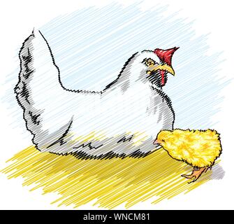 Pollo in un allevamento di polli Illustrazione Vettoriale