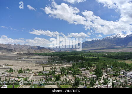 Il monastero di Shey o Gompa e il palazzo di Shey complesse strutture sono situate su un poggio di Shey, 15 chilometri a sud di Leh in Ladakh. Foto Stock