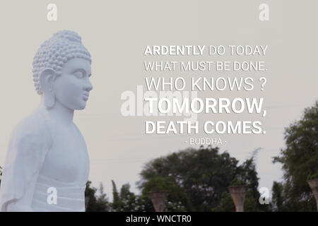 Ardentemente fare oggi ciò che deve essere fatto chissà domani la morte arriva - buddha (2) Foto Stock