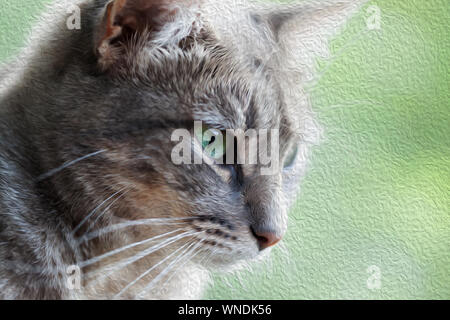 Ritratto di un gatto grigio con gli occhi verdi . Vista ravvicinata. Pittura a olio per effetto del filtro. Foto Stock