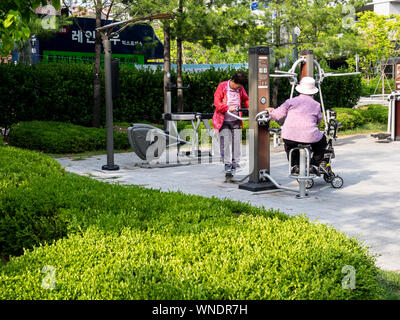 Seoul, Corea del Sud - 8 Giugno 2017: i vecchi le donne coreane facendo esercizio fisico sullo sport attrezzature pubbliche nel parco di Seoul. Foto Stock