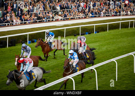 Notte insieme a Chester Racecourse Foto Stock