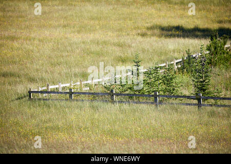 Barrow villaggio parrocchia civile Ribble Valley district Lancashire, Inghilterra i campi su Whalley Road Foto Stock