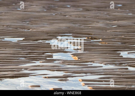 Piccola forma di sabbia creata dall'acqua di mare Foto Stock