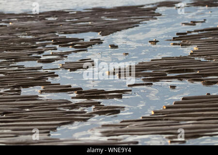 Piccola forma di sabbia creata dall'acqua di mare Foto Stock