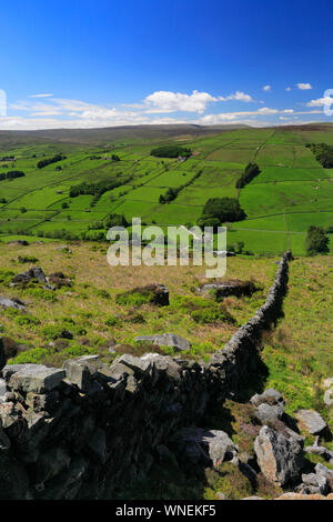 Summer View attraverso Nidderdale ANOB, North Yorkshire, Inghilterra. Foto Stock