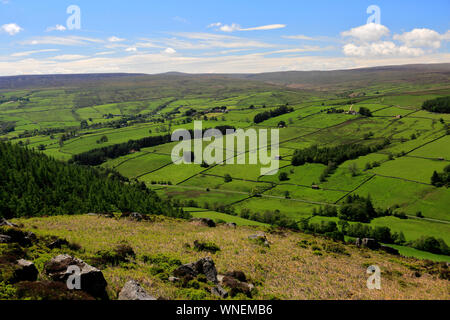 Summer View attraverso Nidderdale ANOB, North Yorkshire, Inghilterra. Foto Stock