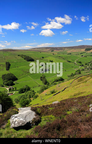 Summer View attraverso Nidderdale ANOB, North Yorkshire, Inghilterra. Foto Stock