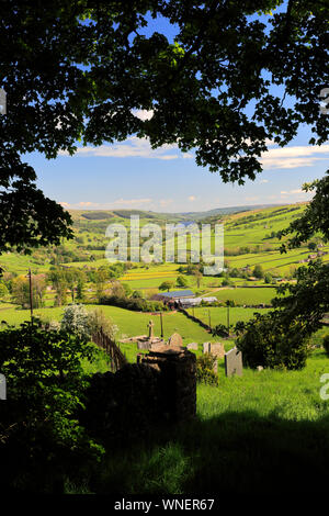 Summer View attraverso Nidderdale ANOB, North Yorkshire, Inghilterra. Foto Stock