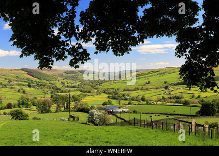 Summer View attraverso Nidderdale ANOB, North Yorkshire, Inghilterra. Foto Stock