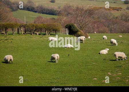 Tameside boarder Werneth viste bassa Foto Stock