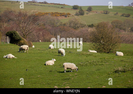 Tameside boarder Werneth viste bassa Foto Stock