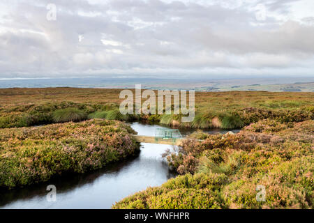 Oggetto Fenn trappola montata attraverso una via navigabile su un Nord Pennine Grouse Moor, Regno Unito Foto Stock