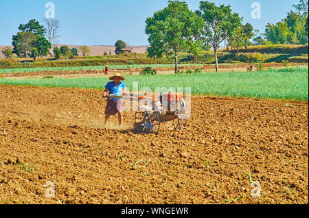 HUM PHO, MYANMAR - 20 febbraio 2018: Il giovane contadino ara la terra sul campo con un timone, il 20 febbraio in Hum Pho. Foto Stock