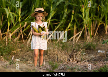 Bambino in un cappello che sorge nel mezzo di un campo di mais. Tempo del raccolto. l agricoltura biologica per i bambini. Carino bambino divertirsi su un soleggiato estate Foto Stock