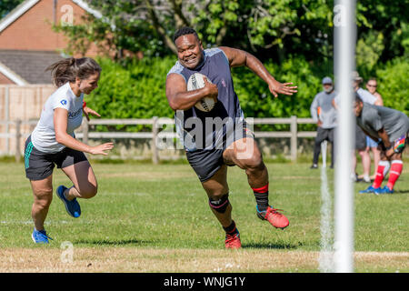 Amateur rugby touch player (maschio, 40-50 y) evade toccare affrontare da avversario femmina Foto Stock