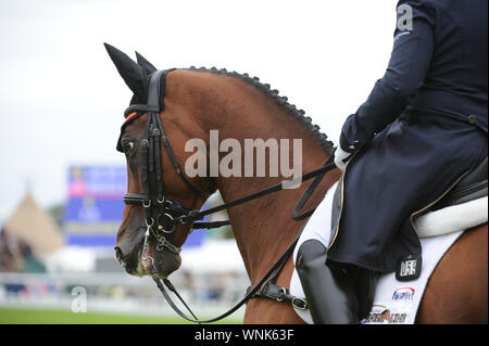 Stamford, Regno Unito. 06 Sep, 2019. Venerdì 6 settembre 2019. Land Rover Burghley Horse Trials, Stamford, Lincolnshire UK. Fase di dressage il giorno 2 di 4. Bruce Davidson Jr (USA) riding Jak il mio stile Credito: Julie Priestley/Alamy Live News Foto Stock