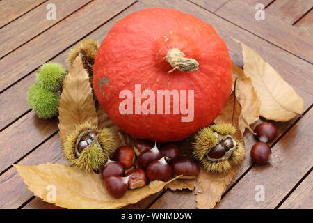 Le castagne, lolla, zucca e foglie su un tavolo di legno dopo il raccolto durante l'autunno Foto Stock