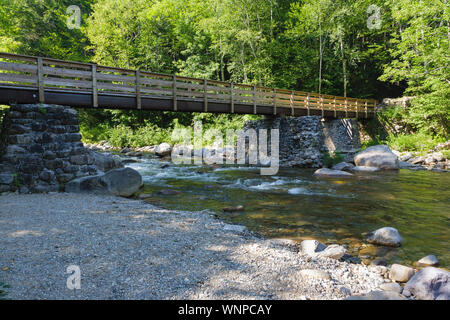 Un ponte pedonale, che attraversa Franconia Brook, lungo il Lincoln Woods Trail a Lincoln, New Hampshire. Foto Stock