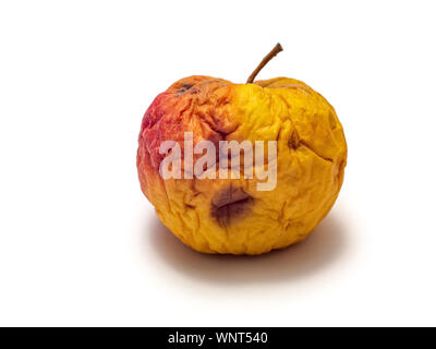 Stropicciata, invecchiato, asciugata apple con tutti i segni di calo isolato su sfondo bianco. Foto Stock