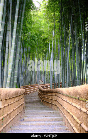 Un percorso attraverso un boschetto di bambù in Kyoto, Giappone con bambù scherma su entrambi i lati rientranti nella distanza. Foto Stock