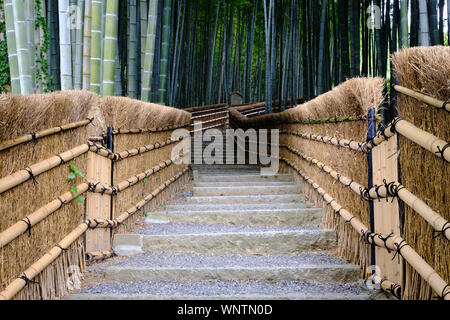 Un percorso attraverso un boschetto di bambù in Kyoto, Giappone con bambù scherma su entrambi i lati rientranti nella distanza. Foto Stock