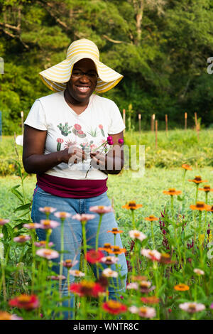 Giovane donna sorridente tagli fiori in un campo di fiori Foto Stock