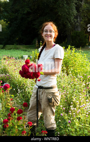 Giovane donna sorridente detiene di fresco-taglio di fiori rossi in giardino Foto Stock