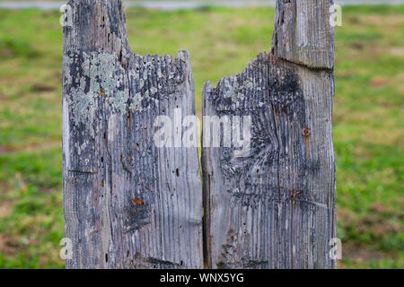 Weathered cancello di legno in un prato su un sentiero escursionistico presso Rockaway Beach, pacifica, CALIFORNIA, STATI UNITI D'AMERICA Foto Stock