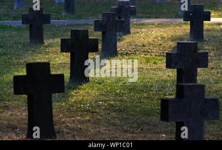 Bucarest, Romania - 11 Novembre 2018: Diverse croci in pietra di soldati caduti nella Prima Guerra Mondiale sono visibili nel cimitero degli eroi Pro Patria, in Buchare Foto Stock