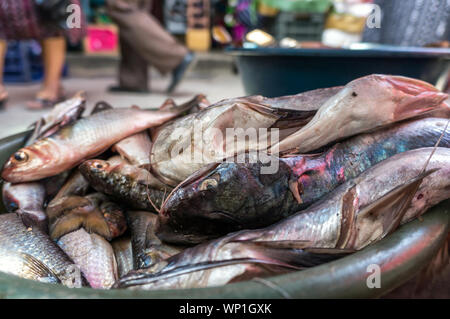 Il pesce per la vendita al mercato a Chichicastenango, Guatemala Foto Stock