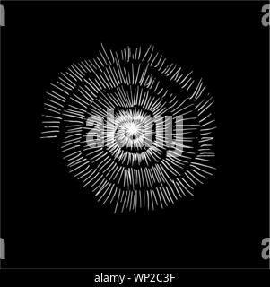 Bianco nero illustrazione di una lumaca pietrificato shell. Gesso su una lavagna. Illustrazione Vettoriale