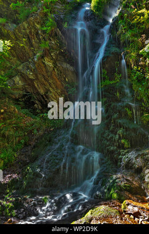 Fahler cascata, Feldberg, Foresta Nera, Germania Foto Stock