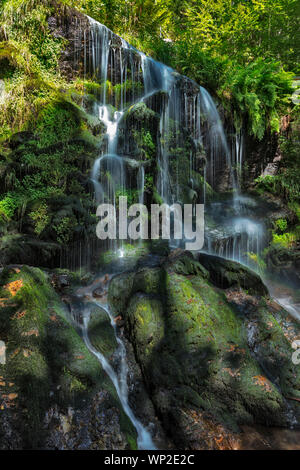 Fahler cascata, Feldberg, Foresta Nera, Germania Foto Stock