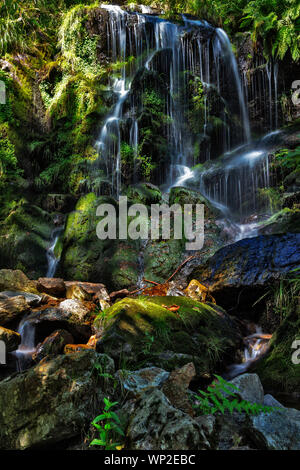 Fahler cascata, Feldberg, Foresta Nera, Germania Foto Stock