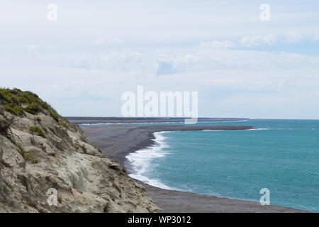 Le guarnizioni di tenuta di elefante su Caleta Valdes beach, Patagonia, Argentina. Fauna argentino Foto Stock