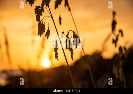 Scenic tramonto a Maratea, regione Basilicata, Italia Foto Stock