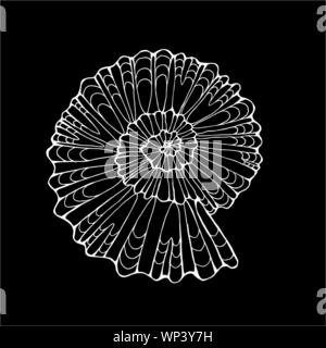 Bianco nero illustrazione di una lumaca pietrificato shell. Gesso su una lavagna. Illustrazione Vettoriale