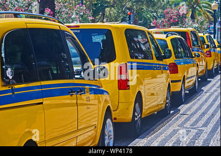 Funchal, la capitale dell'isola di Madera, e linea di iconico giallo taxi su una strada nel centro della città Foto Stock