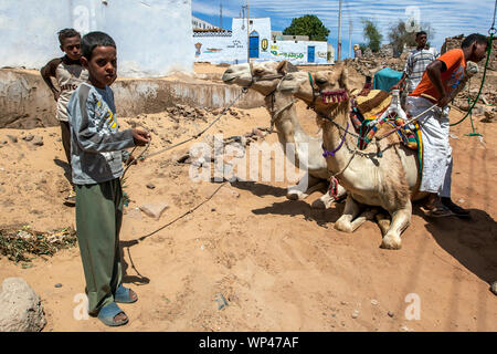 Un giovane ragazzo egiziano contiene una coppia di cammelli in una strada a Nubian Village di Garb-Sohel nella regione di Assuan d'Egitto. Foto Stock